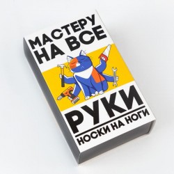 Набор мужских носков «Мастер на все руки» 2 пары